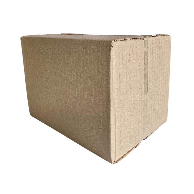 Cajas De Cartón Para Envios 20x13x17.5 Ecommerce 100 Pzas Natural